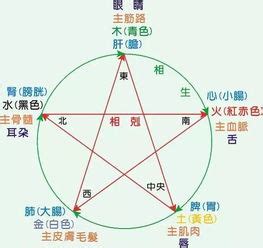 個人五行屬性|如何知道一個人的五行屬什么